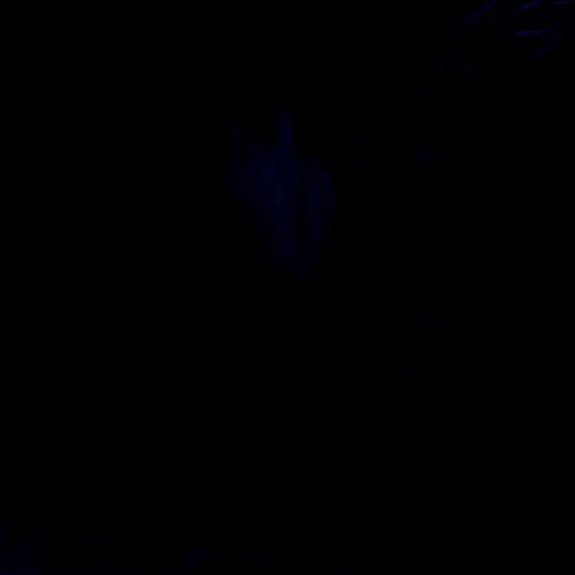 GloomyChild5312의 The Kiss We Shouldn't Have Started