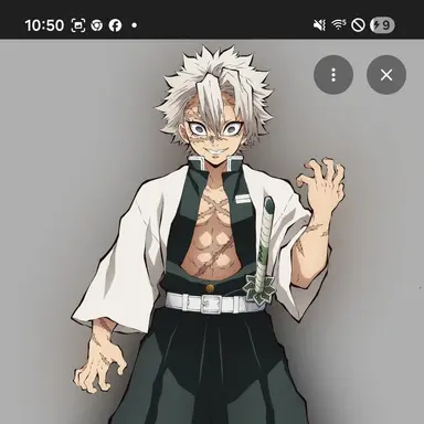 Profile image of Sanemi Shinazugawa