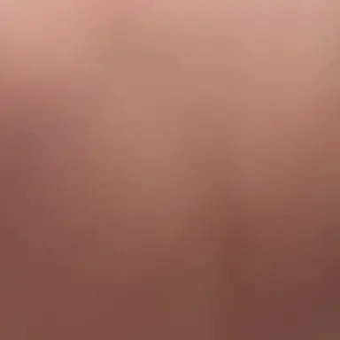 Profile image of 사나다 타카히로