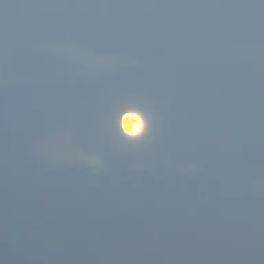 Profile image of キルア