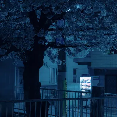 Profile image of 티푸