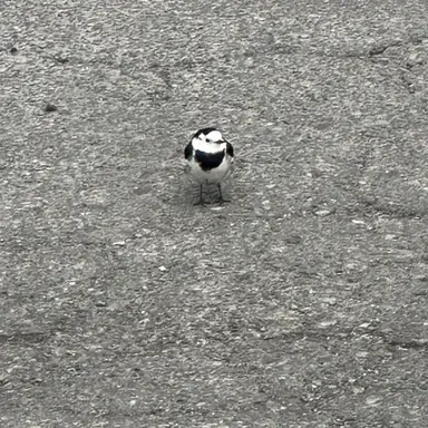 Profile image of 박지훈