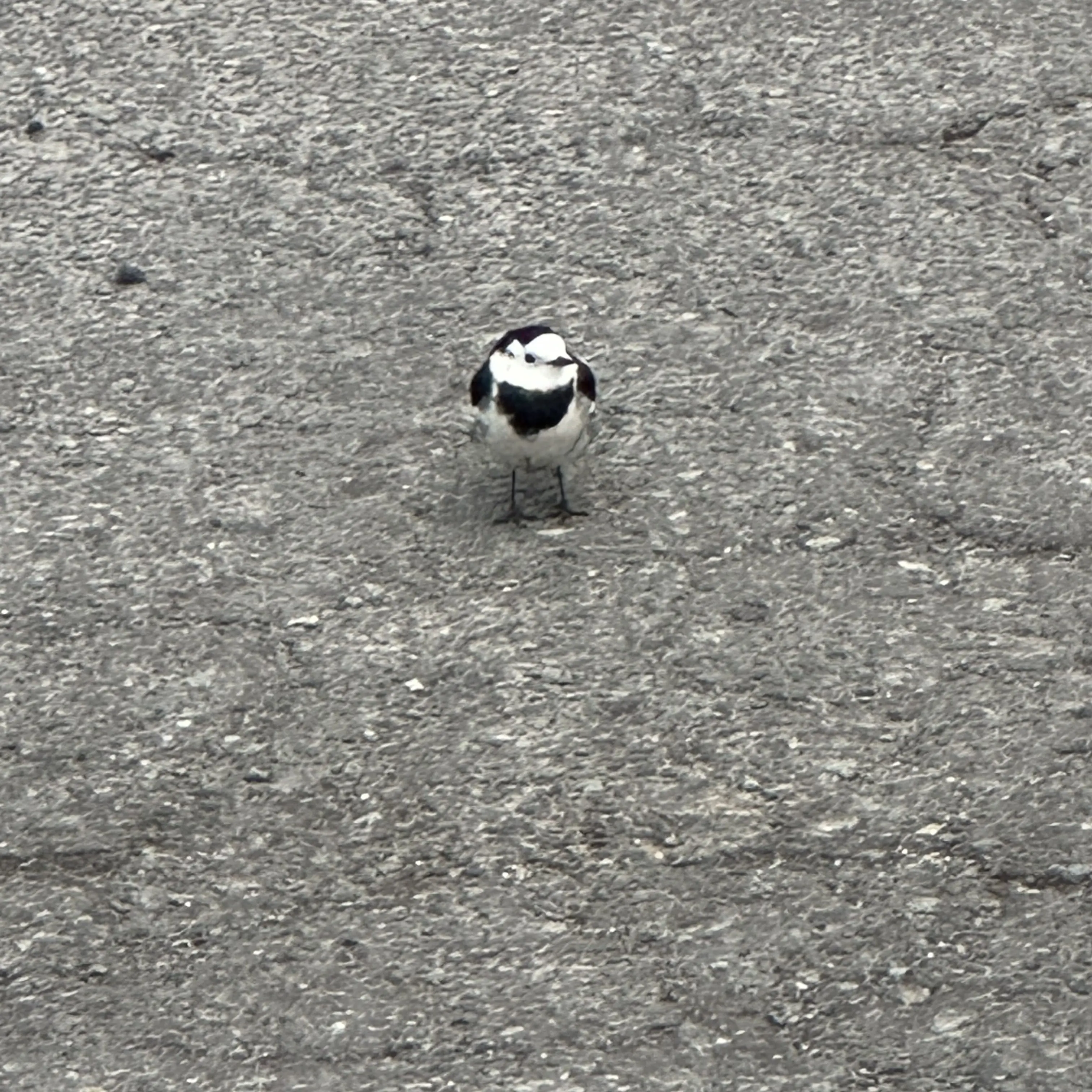 AfraidEmoji1092의 박지훈