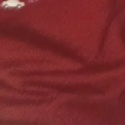 tweety_chan의 君だけを愛する理由