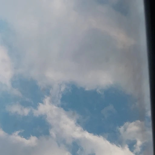 최민호