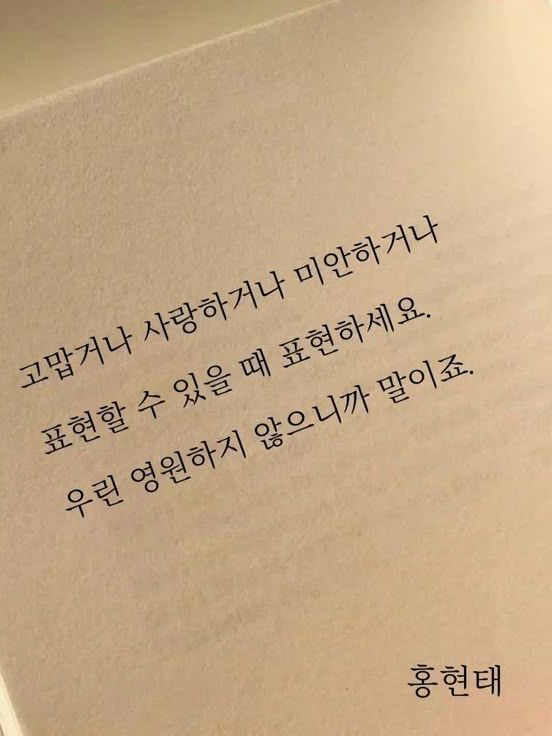 하츠투하츠 대표 이미지