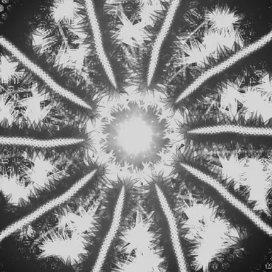 Profile image of 아인삼헤아