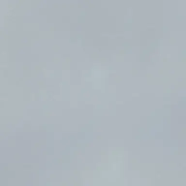 Profile image of 本田　菊