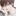 강수호