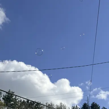 Profile image of 성진