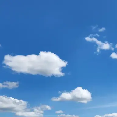 Profile image of 연이