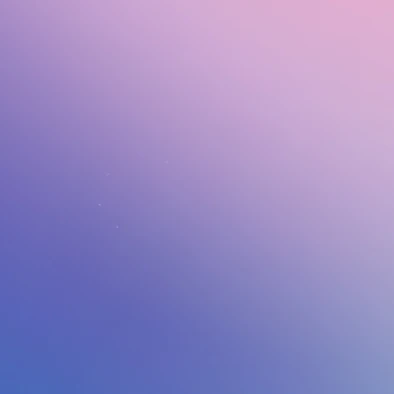 뜰팁 조직2