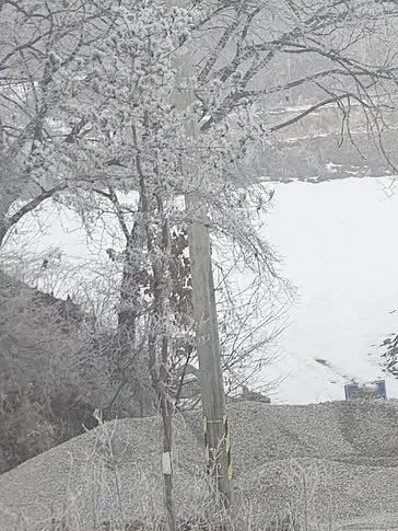 2minyouminho의 우당탕탕 시골생활