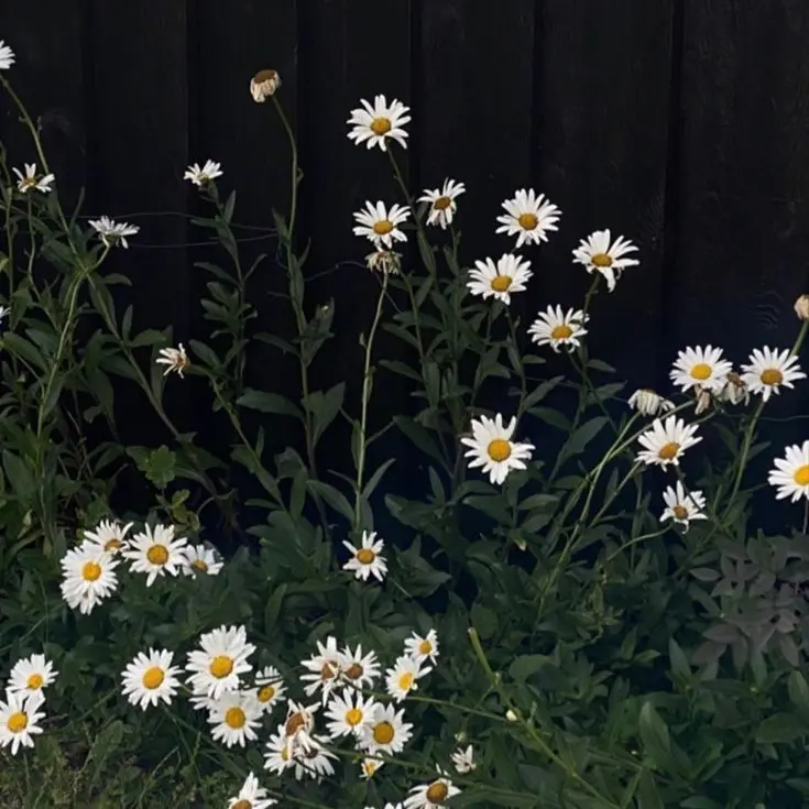 Either13의 정형준