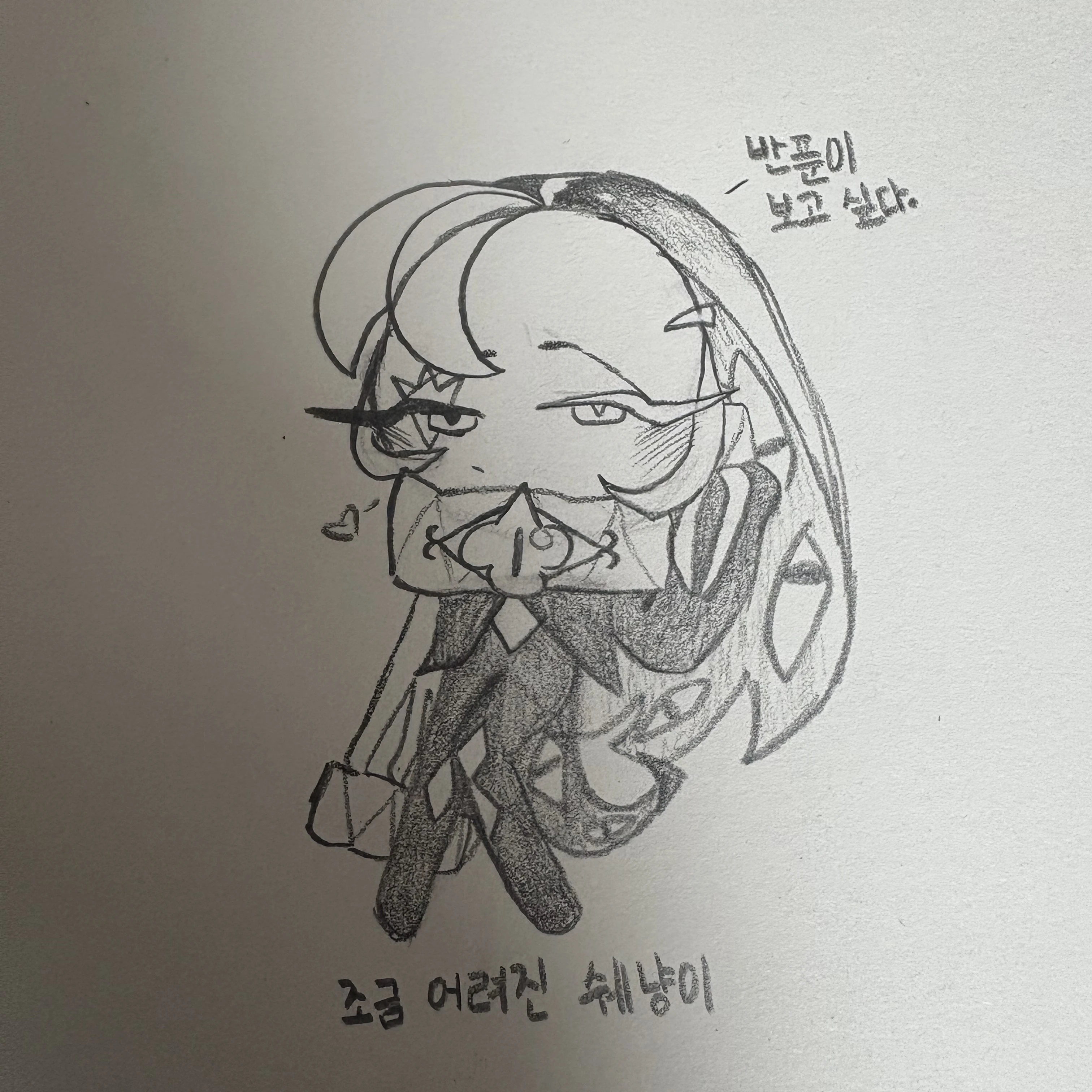 쉐도우밀크 쿠키