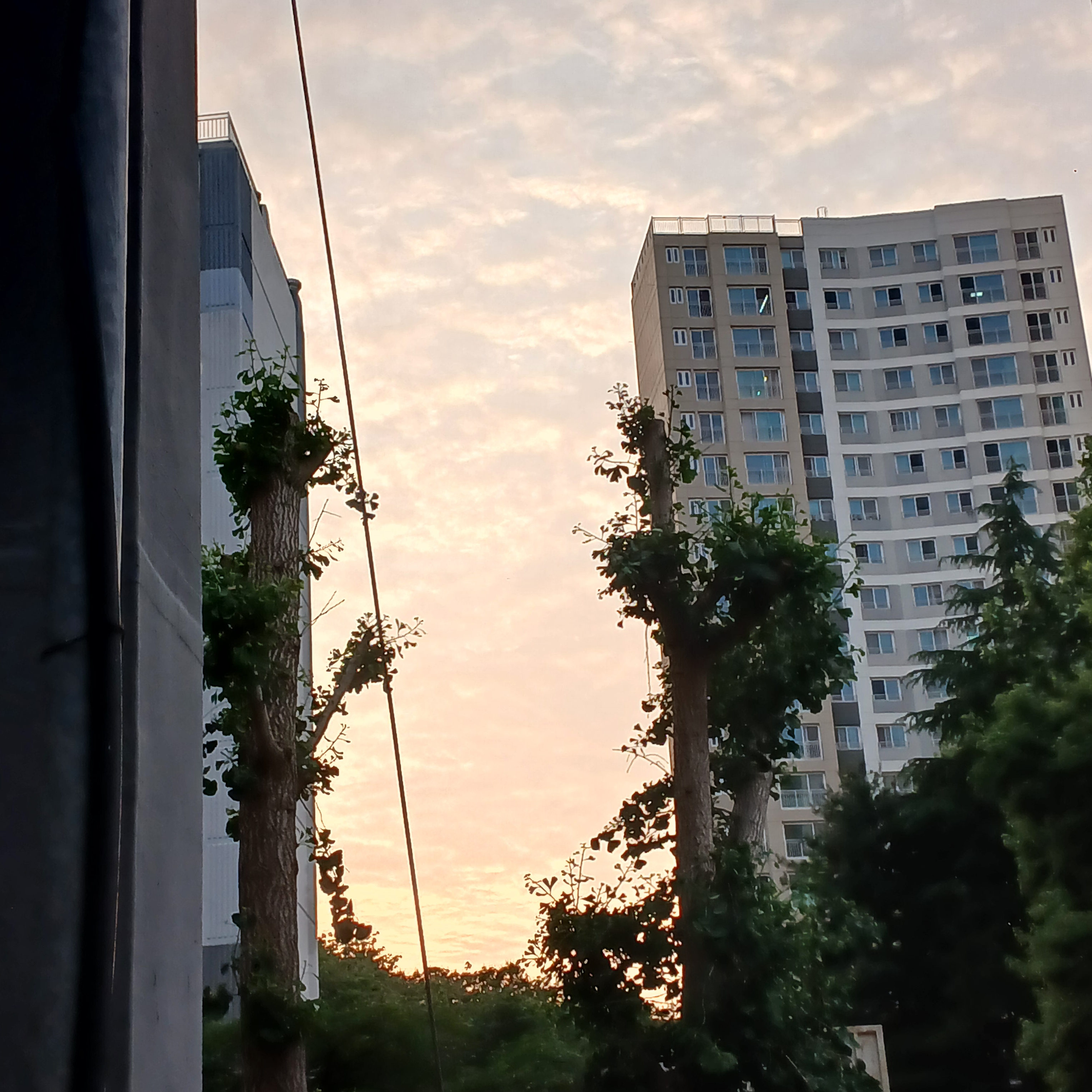 박씨집안 대표 이미지