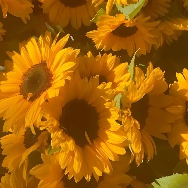 PetiteGlaze1151의 『 Yellow 』