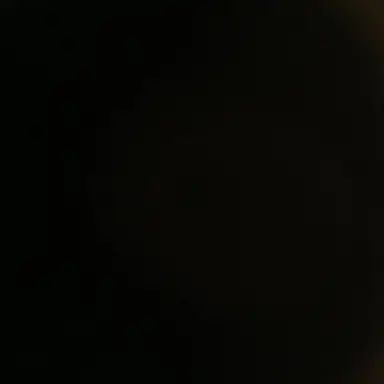 Profile image of 한동민