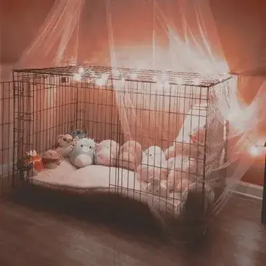 Profile image of Human Pet Store