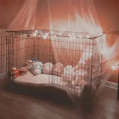 IronicSigh0818의 Human Pet Store