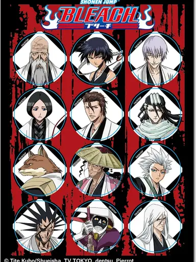 Profile image of Bleach Captains