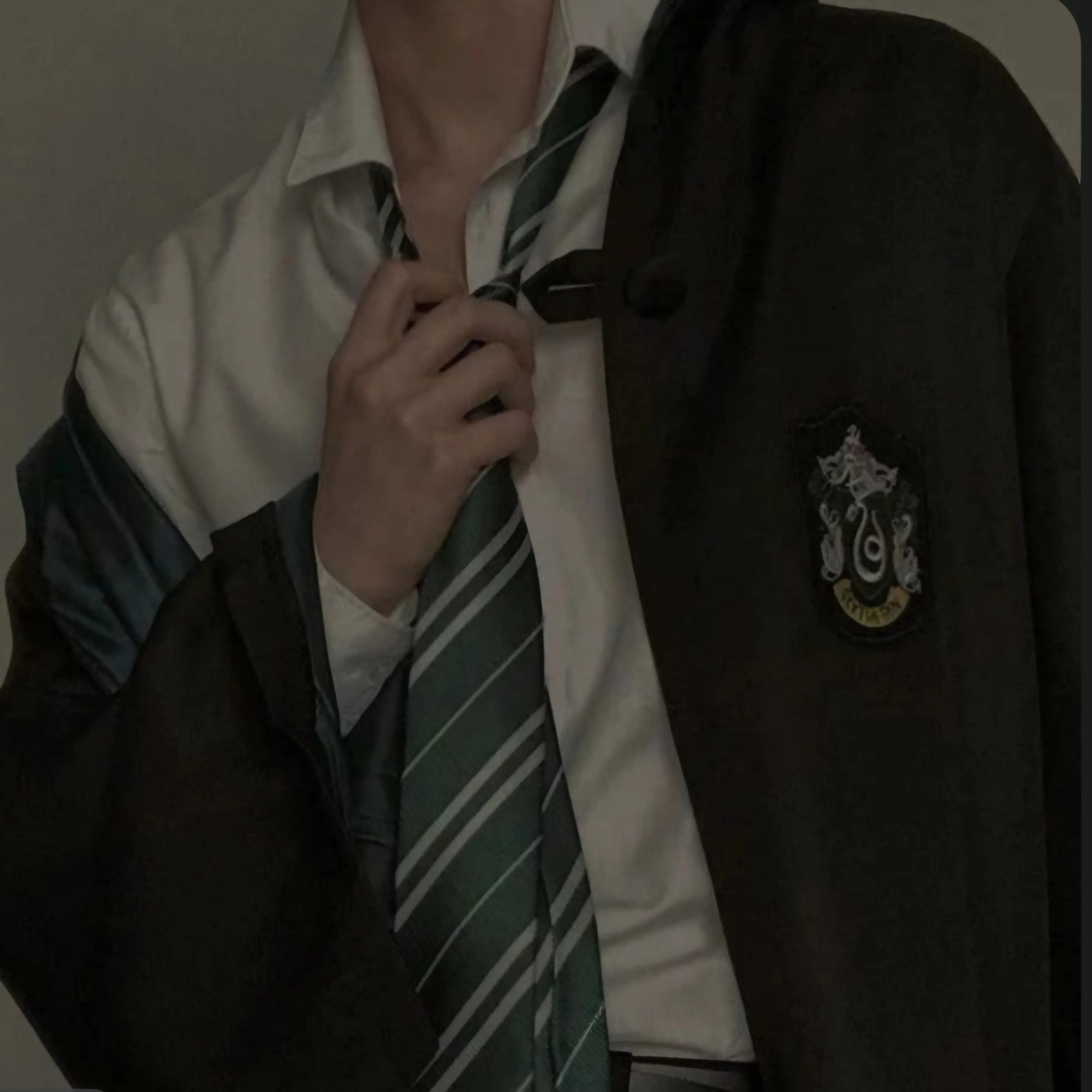 LovelyXerus3426의 Draco MaIfoy