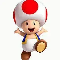TacitDaisy9658의 Toad