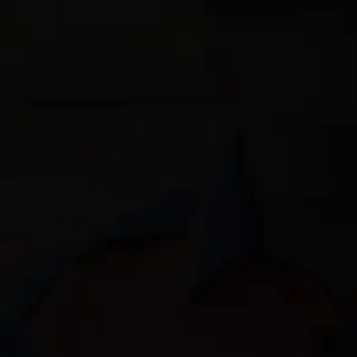 CoarseOptic0827의 炎と恋のあいだで