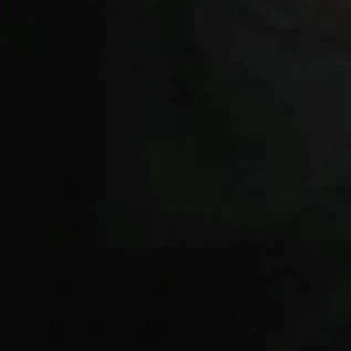 김동현