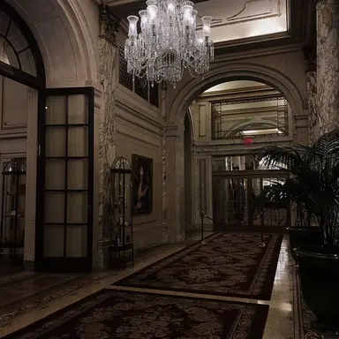 Profile image of 레이븐 벨리온드