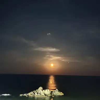 Profile image of 김원필