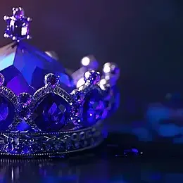 Profile image of ヴィル