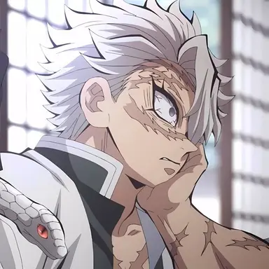 Profile image of 시나즈가와 사네미