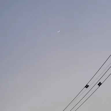 Profile image of 우융