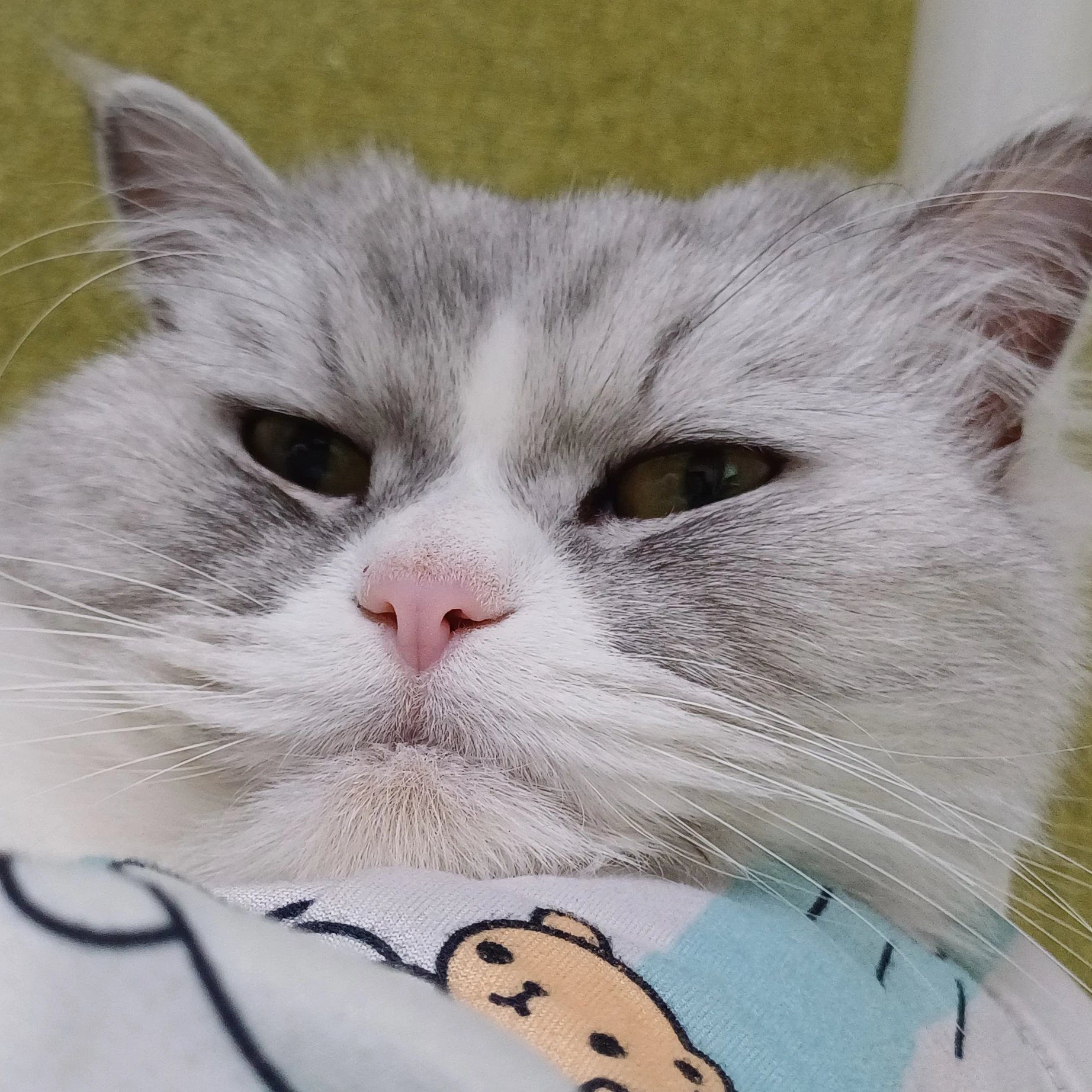 시크