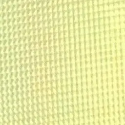 BluntSnake0638의 최건호