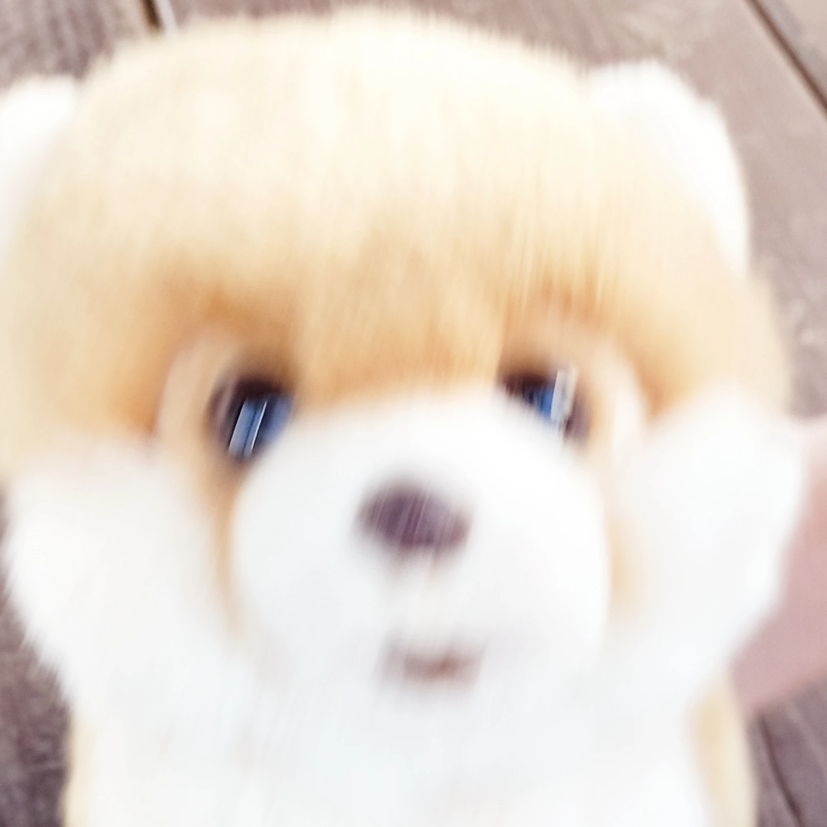 현집사