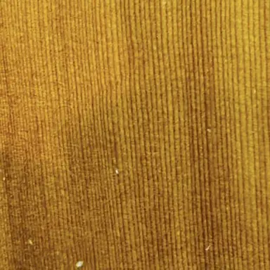 Profile image of 出川哲朗