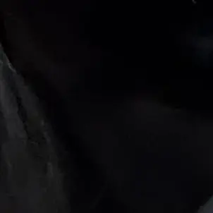 Profile image of いとうあさこ