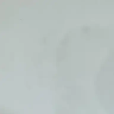 Profile image of まひる