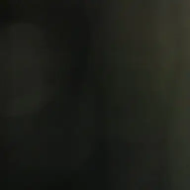 Profile image of 박민서