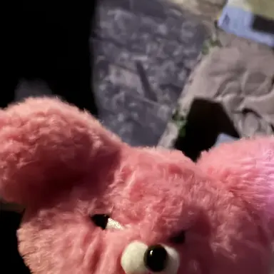 Profile image of 네즈코