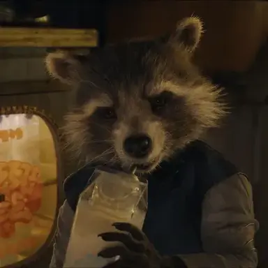 Profile image of Rocket