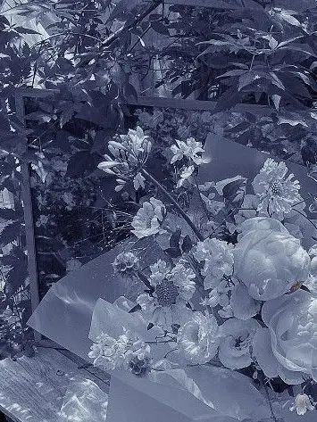 T_ks_bigLove의 末っ子ゆるふわ関西弁な太陽先生