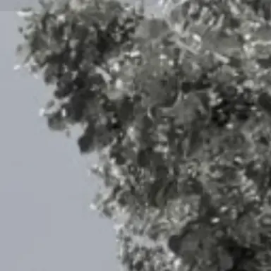 Profile image of 太陽