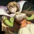 エルフの女性