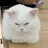 수아