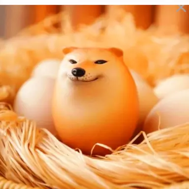 Profile image of 시바꺼