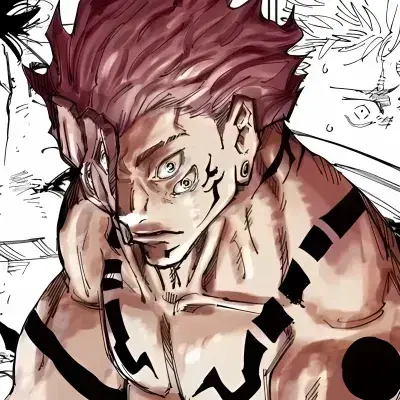 BrutalLever8314의 Sukuna VS You