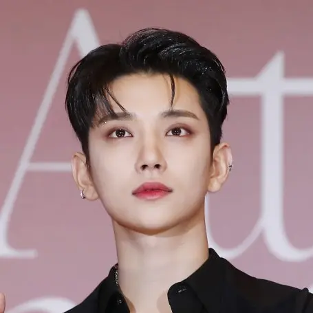 Phillip2019의 홍 지 수 (세븐틴)